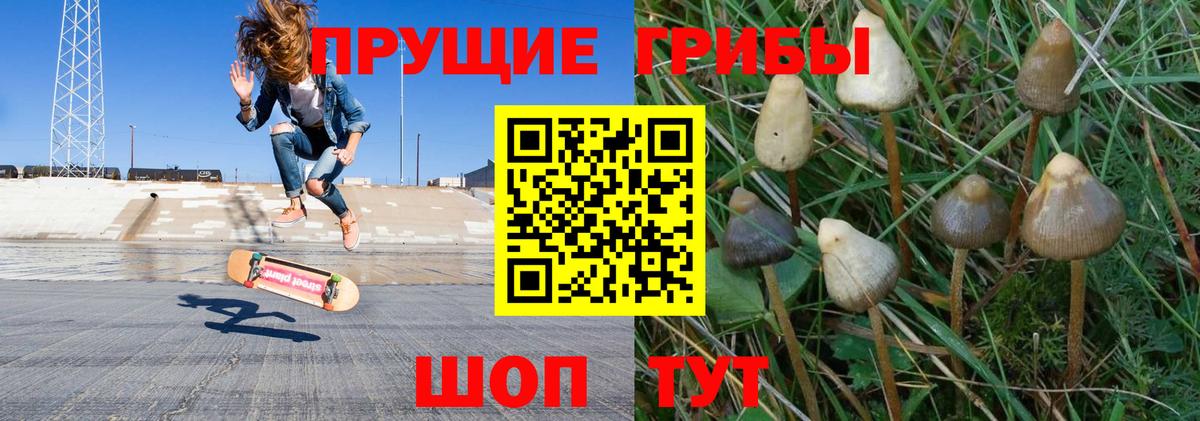 Псилоцибиновые грибы прущие грибы  Псилоцибиновые грибы ЛСД  Губаха  Вход с VPN 