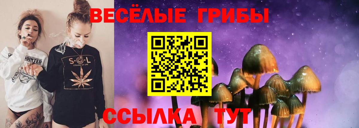 Галлюциногенные грибы мухоморы Губаха
